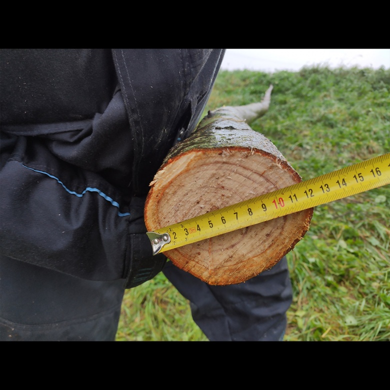 JIRBO&nbsp;WORKER PREMIUM WTD&nbsp;ág daraboló&nbsp;-&nbsp;Starex Pro Kft.